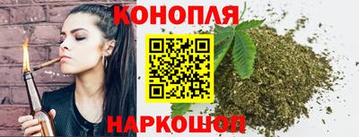 сатива Гагарин